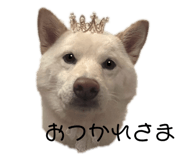 743469080