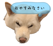 743469081