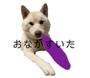 743469082