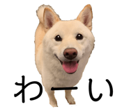743469084