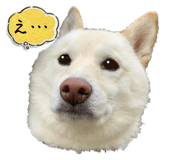 743469086
