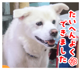 743469537