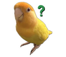 743481467
