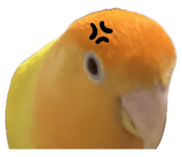 743481468
