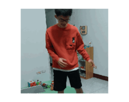 743481520