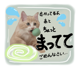 743482870