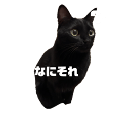 743489961