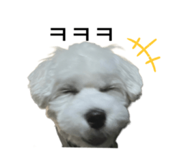 743493836