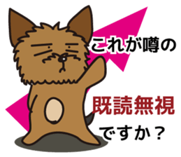 7435017