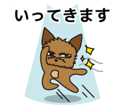 7435032
