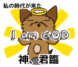 7435038