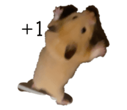 743506121