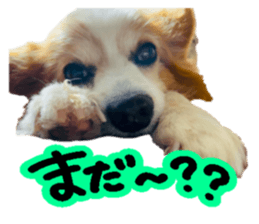743532214