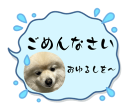 743540543