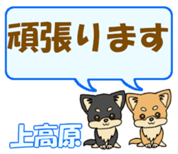 743541691