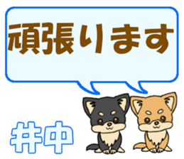 743541731