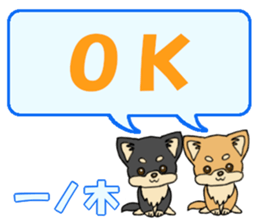 743541755