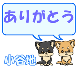 743542434