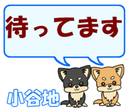 743542445