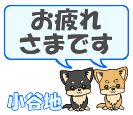 743542446