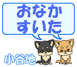 743542468
