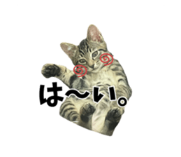 743544282