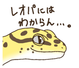 743545221