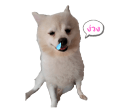 743547610