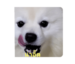 743547611