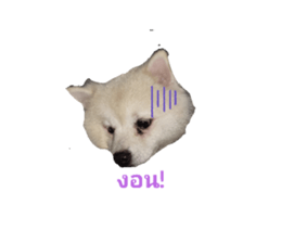 743547613