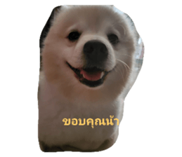 743547614