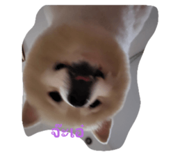 743547615