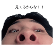 743548002