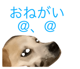 743548526