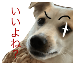 743548528