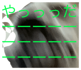 743548530