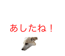 743548534