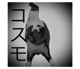743548543