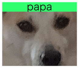 743548550