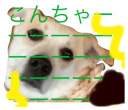 743548552