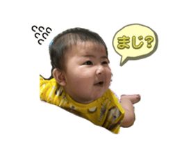 743550043