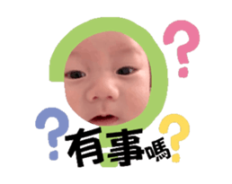 743556461