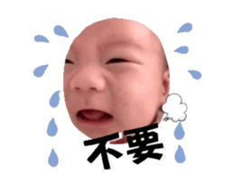 743556463