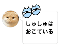 743569616