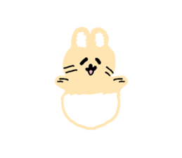 743570024