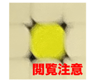 743570341