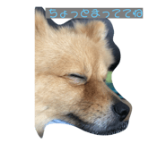 743578787