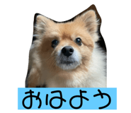 743578790
