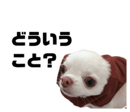743582043