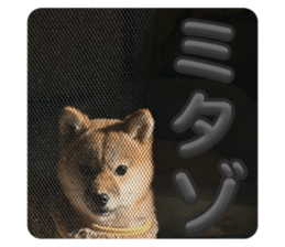 743598972